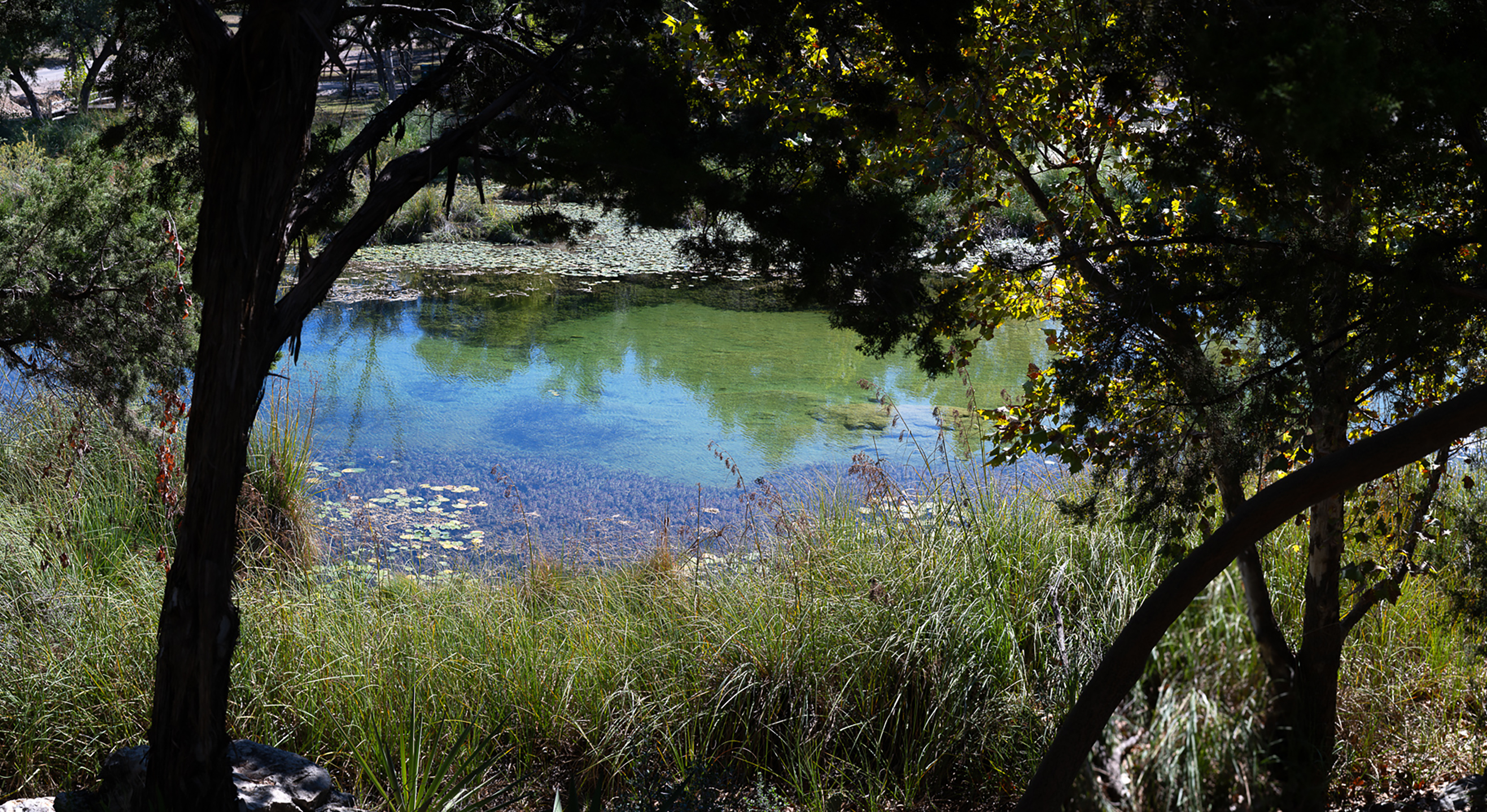 Emerald Pond on Slickrock Creek in Texas Hill Country, featuring crystal-clear spring-fed water, native grasses, limestone shoreline, and reflections of the surrounding landscape.