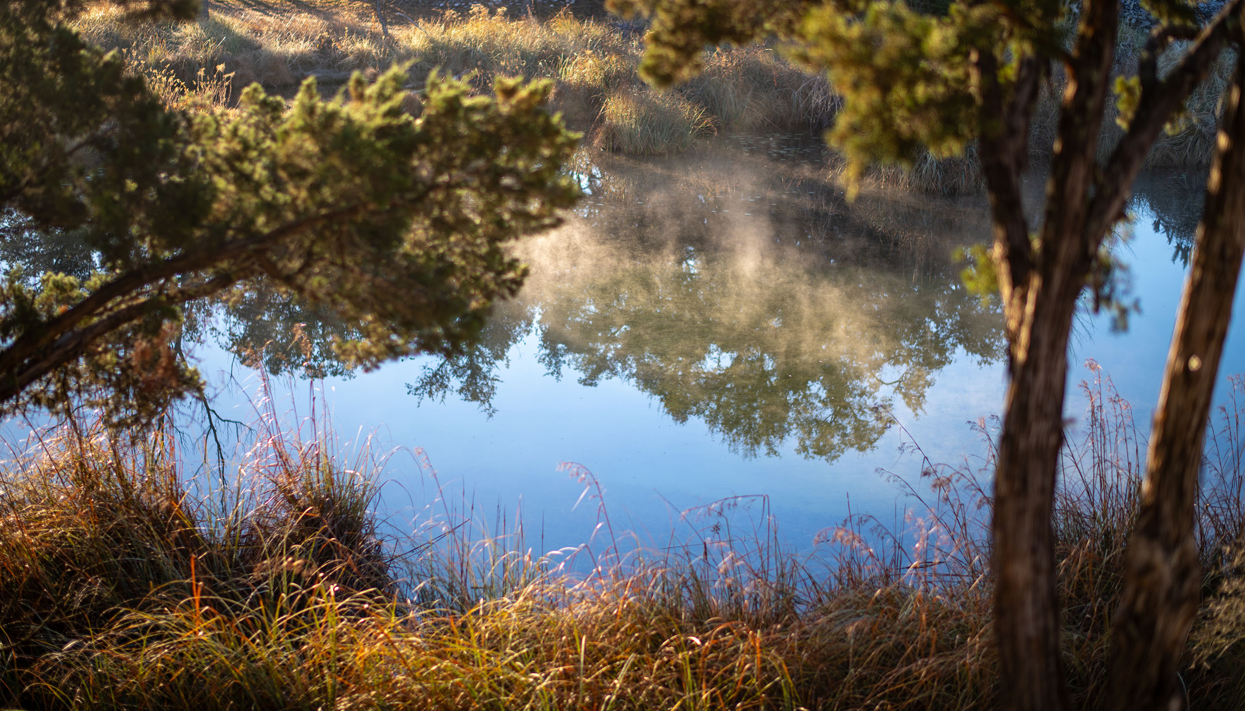 Morning mist rising over Slick Rock Creek near Horseshoe Bay, Texas, framed by cedar trees and native grasses in the Texas Hill Country.
